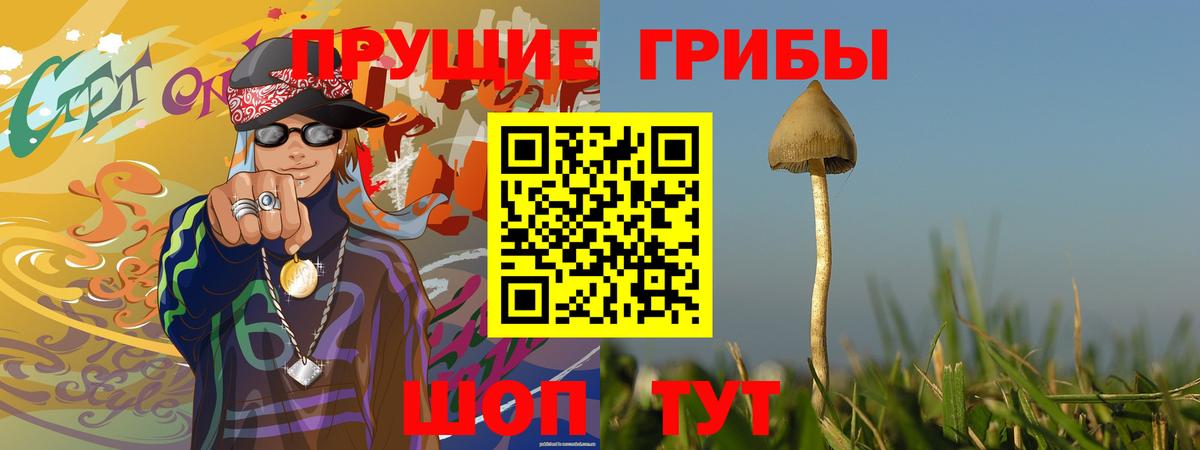 Псилоцибиновые грибы Cubensis  Вход с VPN  Видное 